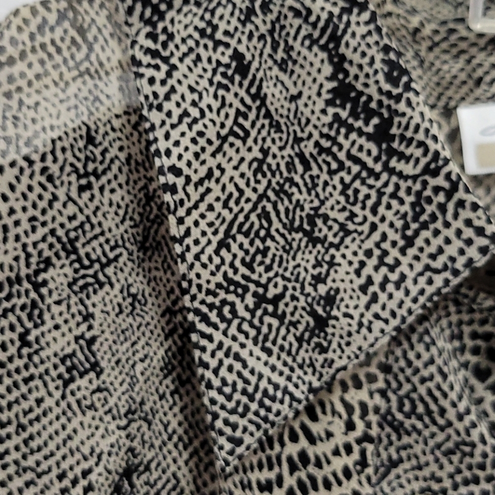 Button-Down Sheer Blouse - image 4